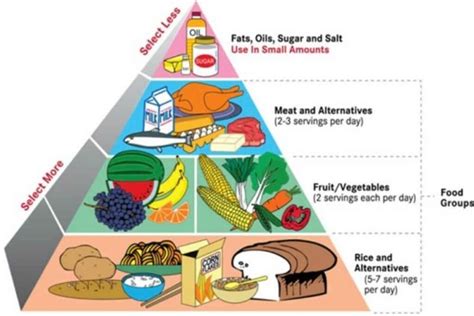 Because the directly downloaded image is a transparent background. DLP SCIENCE YEAR 3 : CLASSES OF FOOD | Other Quiz - Quizizz