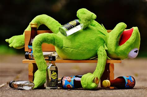 Check spelling or type a new query. Kermit the Frog with glass bottles lying on wooden bench ...