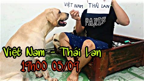 Tuyển việt nam sẽ ra sao khi triều tiên rút? Củ Cải dự đoán Việt Nam - Thái Lan tại vòng loại World Cup ...