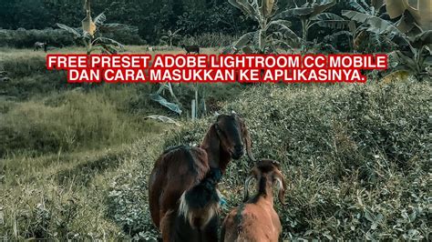 We did not find results for: FREE PRESET ADOBE LIGHTROOM CC MOBILE. DAN CARA MEMASUKKAN ...