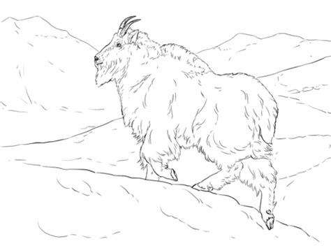 Printable mountain goat coloring pages. Realistic Mountain Goat coloring page | Free Printable ...