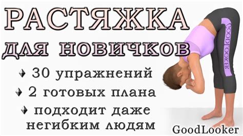 Растяжка для начинающих: 30 упражнений для деревянных