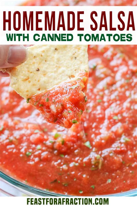 Fat free, low calorie and vegan too! Easy Homemade Salsa Using Canned Tomatoes : Ultimate ...