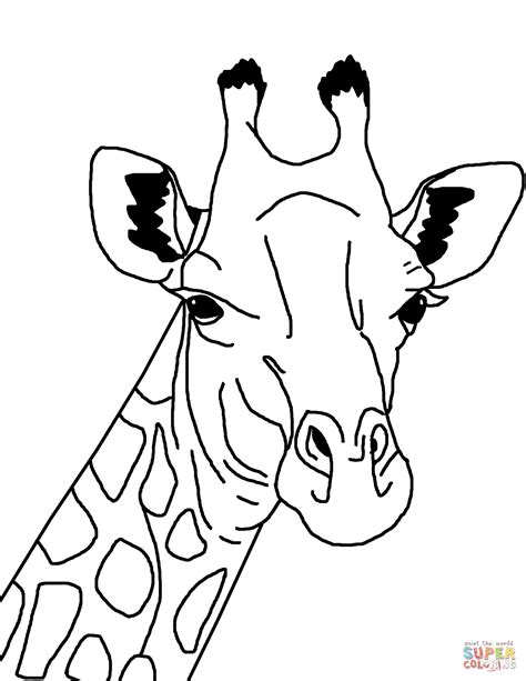 Cat colouring pages activity village. Giraffe Face | Super Coloring | Giraffe drawing