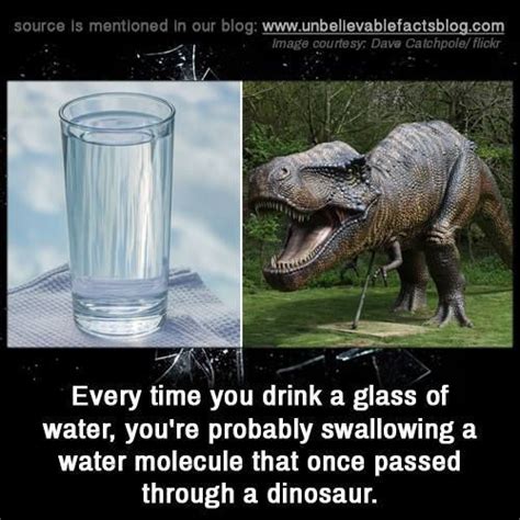 To taste and swallow jizz. Every time you drink a glass of water, you're probably ...