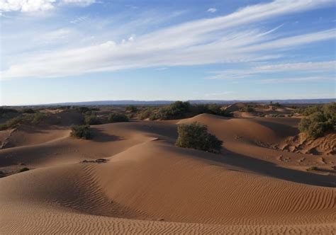 Enjoy this morocco desert excursion to discover the sahara and the nomadic culture. Ouarzazate desert tour to Erg Chegaga | Camel Trek Morocco