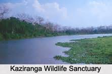 With naveen andrews, sarita choudhury, indira varma, ramon tikaram. Assam Eco Parks