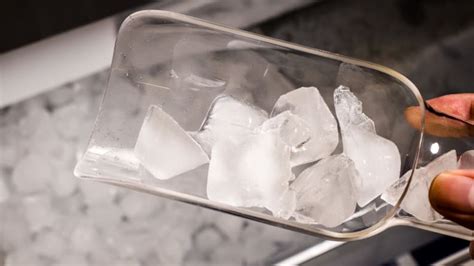 I love the pyramid ice cubes! Bosch B36CL80SNS Stainless Steel Refrigerator Review ...