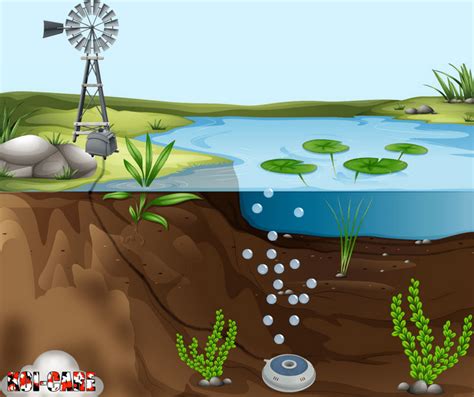 Due to osmotic pressure, the water from the surrounding gets pushed into the body. koi pond windmill aeration | Koi pond, Pond windmills ...