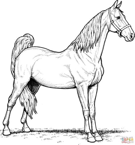 Running horse coloring page from horses category. Realistic horse coloring pages to download and print for free