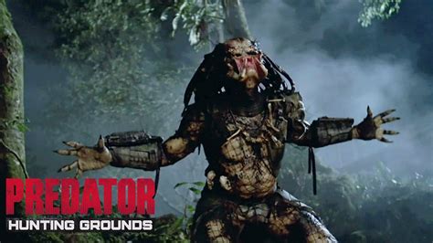 Hunting grounds also brings another freebie for all: Predator Hunting Grounds DUTCH is Back 2025 !!! - YouTube