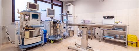 Clinica si cabinet veterinar Bucuresti - Mobile Vet