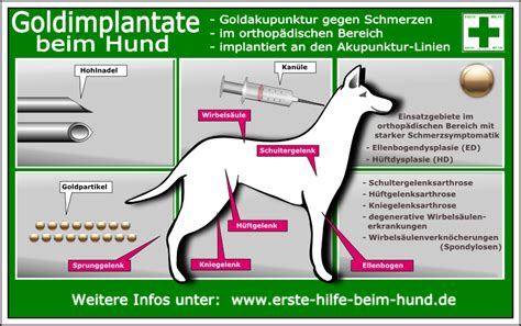 ➤ gibt es anzeichen und warnsignale? ERSTE HILFE BEIM HUND - Goldimplantate