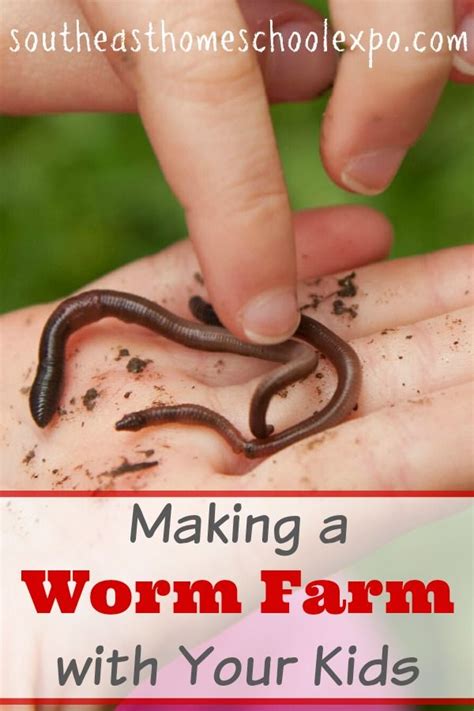 These worms are sold by the pound at many gardening centers or bait shops. Making a Worm Farm with Your Kids | Homeschool Science ...