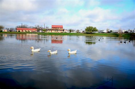 We did not find results for: Braunig Lake RV Resort - Passport America Camping & RV Club