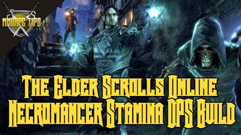 Very similar to the wizard. Necromancer Stamina DPS PVE Build - ESO Elsweyr - MMORPG Tips