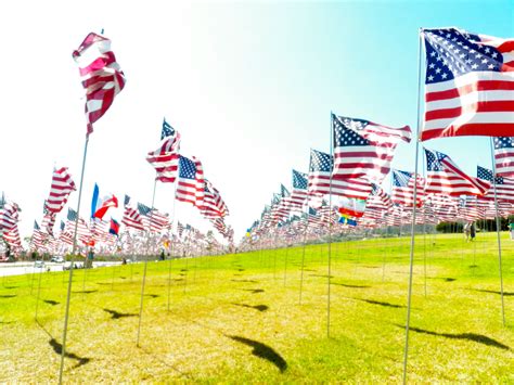 Free Images : celebration, american flag, freedom, toy, stadium, fourth ...