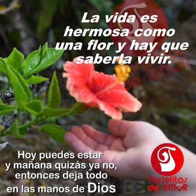 Nacimos para derramar lluvia de bendiciones en muchas vidas Dimelo en Vídeos: 🌞🌺🌸🎀 Clima para hoy? Lluvia de ...