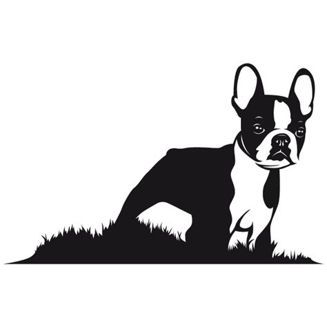 Sticker Boston terrier | Art de terrier de boston, Stickers animaux et Terrier de boston