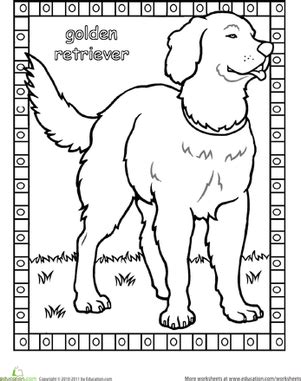 If you have a passion for dogs we have more dog coloring pages. Color the Golden Retriever | Worksheet | Education.com ...