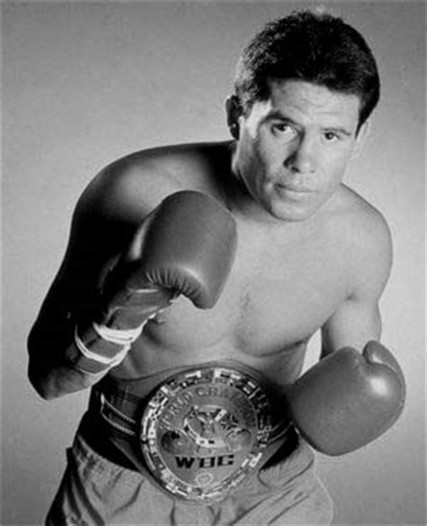 Ring magazine's fight of the year for 1990. Cyber Boxing Zone -- Julio Cesar Chavez