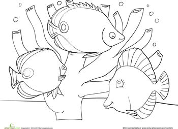 New free coloring pages stay creative at home with our latest. Coral Reef Coloring Page | Coral reef craft, Coral ...
