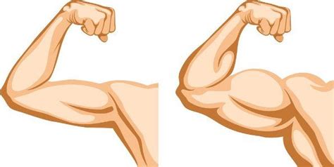 If you want to solve the issue of having a bigger upper body and skinny legs, most of the exercises you undertake will be targeted towards the legs. How to Get Bigger Arms - Part 2 | Skinny to muscle, Skinny ...