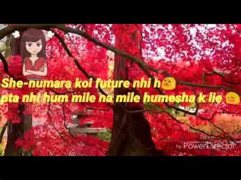 You shud try it oncedont compare me with anyone. Share chat whatsapp status - love chat😍💕💞💓💗💖 - YouTube