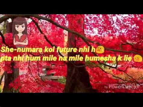 Whatsapp status | hi, are you whatsapp lover? Share chat whatsapp status - love chat😍💕💞💓💗💖 - YouTube