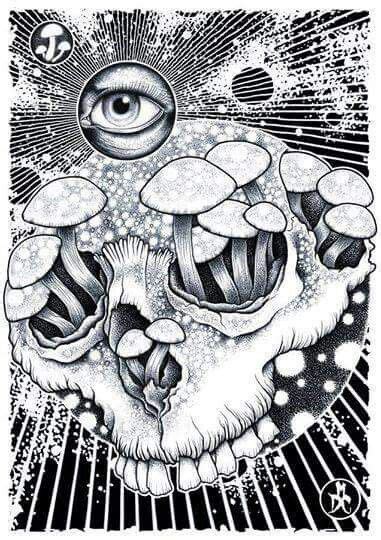 This artistic movement corresponds with the emergence of psychotropic hallucinogens, such as lsd. Pin on fa