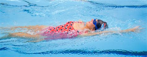 Search, discover and share your favorite gifs. Adult Swim - Hampton Swim School