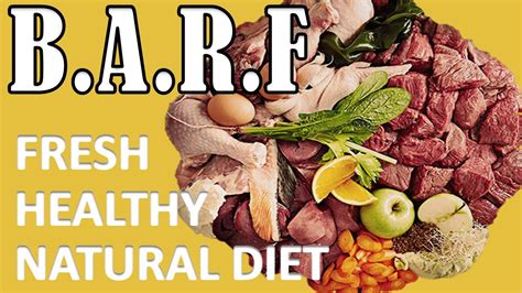 This is not a food you want to feed your dog if you have alternatives. What Can I feed My Dog - Natural Diet For Dogs 2020 - YouTube