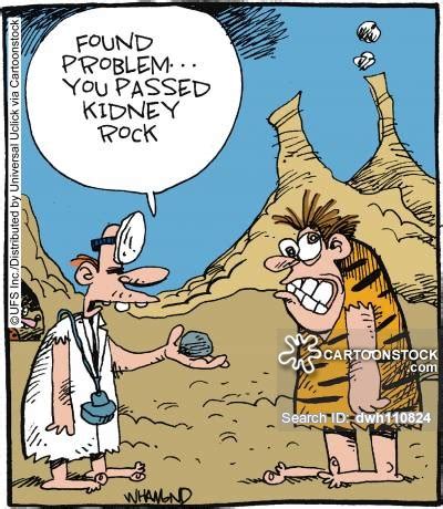 Symptoms include severe lower back pain a kidney stone is a hard object that is made from chemicals in the urine. Kidney Puns