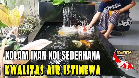 Demikian cara saya menjernihkan air kolam dari warnah keruh menjadi jernih tanpa menggunakan filter dan tanpa mengganti air. Kolam ikan koi sederhana kuwalitas air istimewa - YouTube