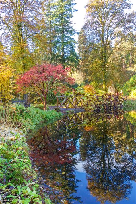 Haggis is one of scotland's most recognisable and traditional foods. Benmore Botanic Garden - Argyle and Bute - Scotland in ...