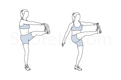 They can be broadly divided into two groups: Kick Crunch | Illustrated Exercise Guide