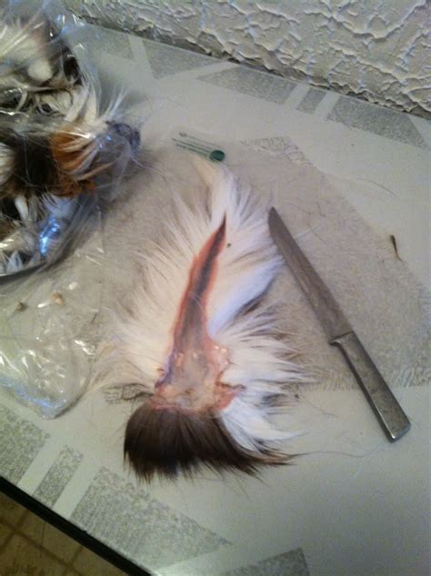 Learn more about licensing with caterpillar. Keystone Predator Fly Fishing: Blood, Piss, and Deer Buttholes