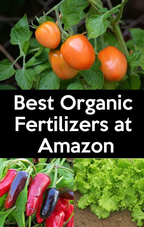 Seaweed and liquid seaweed tea is a good example, because brilliant as it is to help soils and promote growth. These are the Best Organic fertilizers for Vegetables At ...