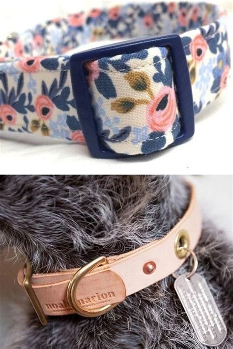 Leather collars, rope collars, personalised collars and more. Pin on Best dog collars