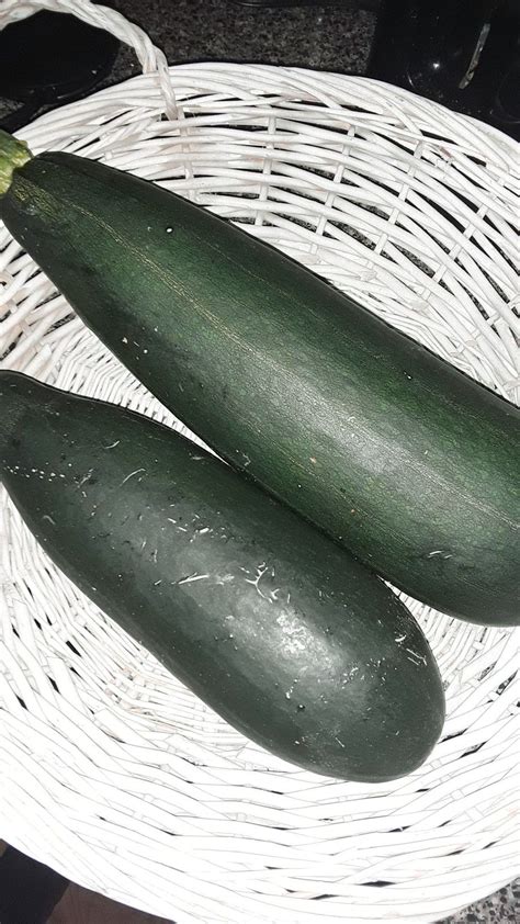 Mixing edible flowers and herbs into your vegetable garden will make it pleasing to the eye and can benefit your crops. Zucchini from my garden. | Art of living, Living well, Garden