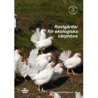 Jordbruksverket har som förebyggande åtgärd beslutat att höja skyddsnivån mot fågelinfluensa h5n8 för fjäderfä i sverige. Skydda dina fåglar mot fågelinfluensa - Jordbruksverket