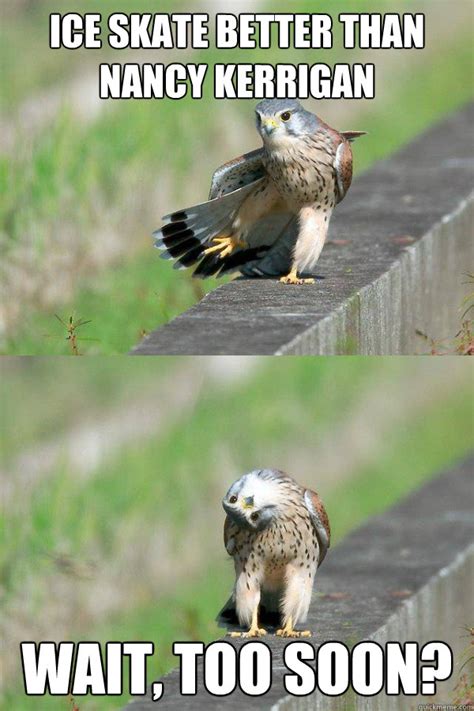 Look, a little confusion is understandable! Awk Hawk Approves - Awk Hawk - quickmeme