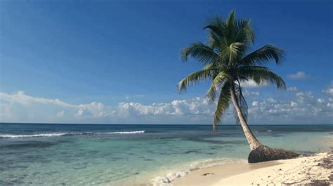 The best gifs for coconut water. Loop Yawn GIF | Tropical beach, Tropical beaches, Beach photos