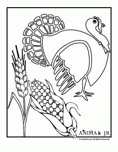 7 thanksgiving turkey coloring pages to print for the kids table. Thanksgiving coloring pages. Gobble gobble! | Thanksgiving ...