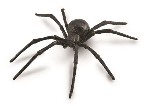 If a black widow bit a dog would the dog survive without any treatment from a vet? Black Widow Spider - Collecta Figures: Animal Toys ...