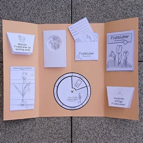 Lapbook vorlagen ameisen kleine geschenke kreativ basteln kostenlose vorlagen dibujo. Lapbook Vorlagen Pdf - Lapbook vorlagen pdf wir haben 17 ...