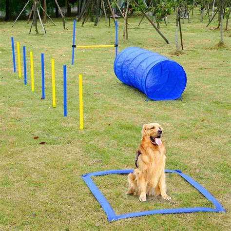 Dog Agility Equipment for sale in UK | View 58 bargains