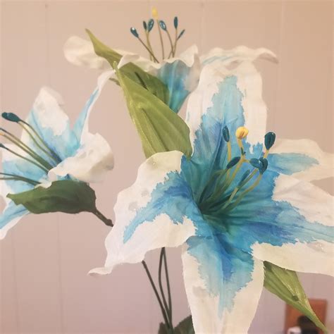 Link's arm drama is similar to ashitaka's in princess mononoke. Husband made me Silent Princess bouquet : botw
