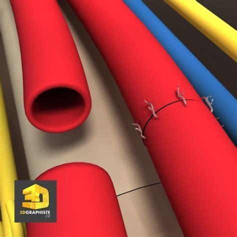 suture arteres veines - illustration médicale - 3DGRAPHISTE.FR
