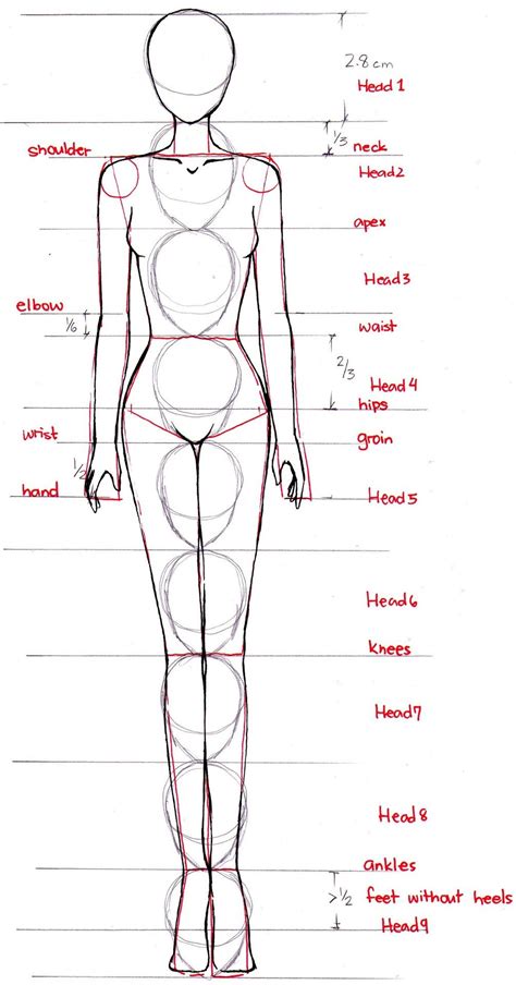 Female Body Sketches For Fashion